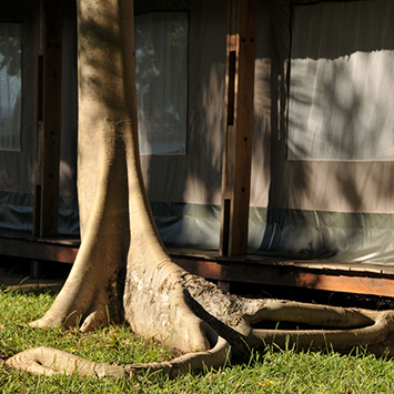baobab-beach-img