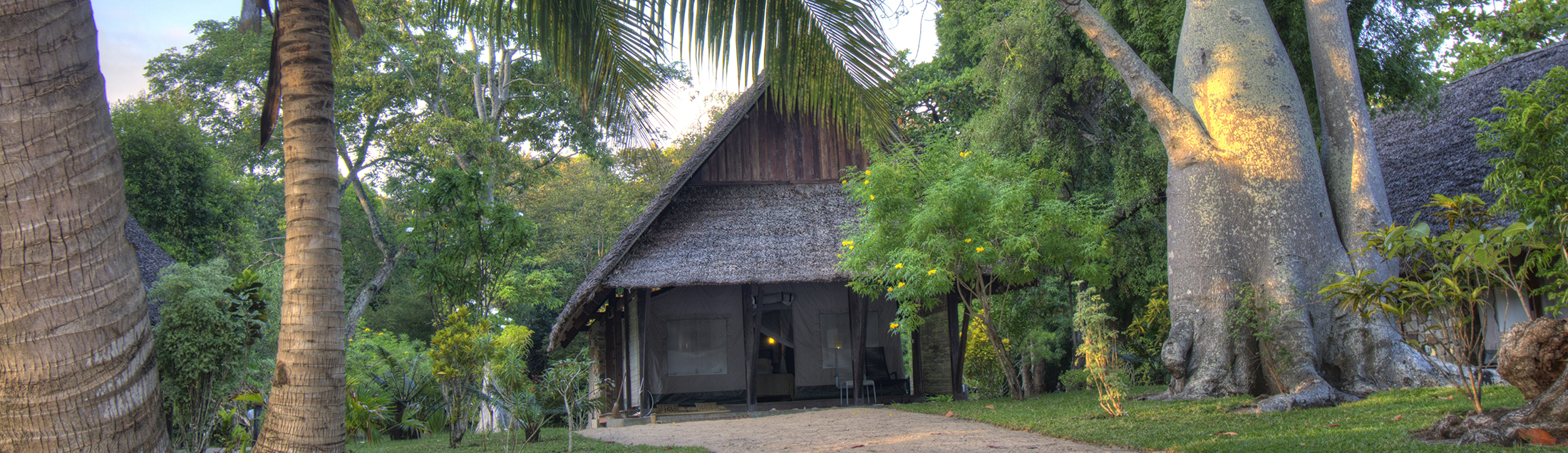 baobab-beach